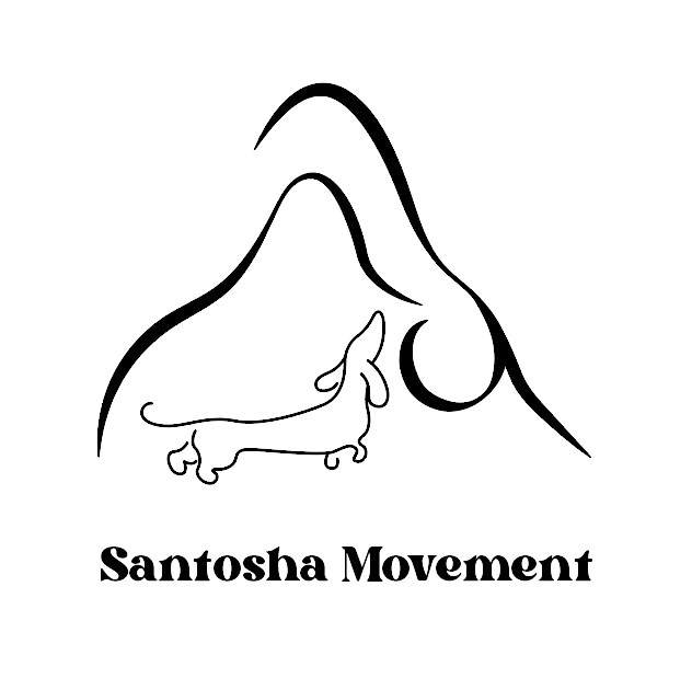 Logo Transparent BG
